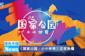 《国家公园·小小世界》正在热播图片