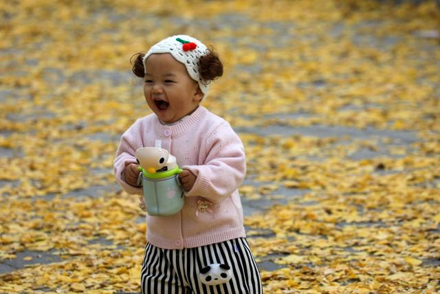 观山湖区：绿脉织城 四季变幻 绘就宜居新画卷