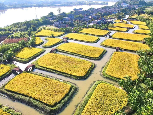 沿着高速去旅行丨循着稻香享受环城高速的风吹麦浪