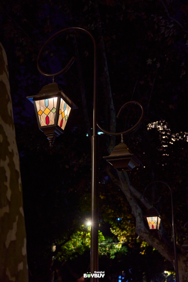 “今年元旦！我来静安只做1件事 ”