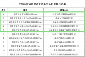 武汉新增5个省级制造业创新中心培育项目图片