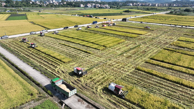 跟着《珠江》游增城！纪录片里的这些地方，一定要打卡