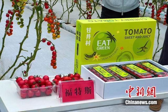 人这一辈子，一定要来宁夏见证“籽籽同心”的力量！