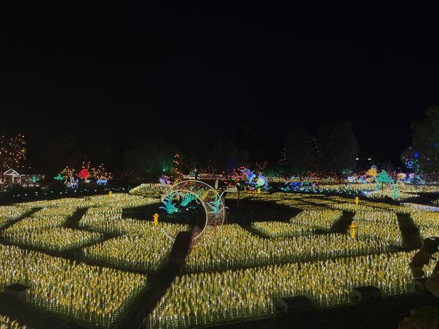 非遗与光影碰撞，非遗千灯游园会将在成都国际非遗博览园启幕