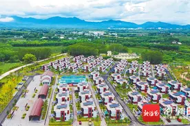 海南出台31条金融措施支持乡村振兴和农业强省建设图片