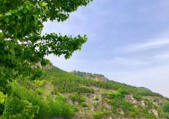 凤凰山下唱老歌