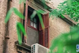 藏不住了！武汉的老巷子，每一眼都是故事图片