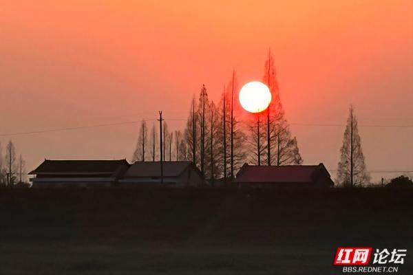 欢庆时刻丨自在益阳：江风、古巷与稻田里的慢时光