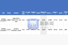 抢疯了，杭州申花、滨江地价创新高！图片
