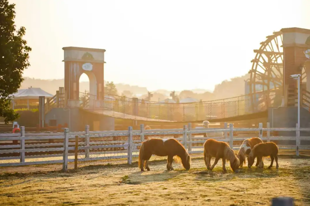 金山推出二日游！一大一小999元住玩全包