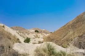 重磅！紫金矿业获批世界级锂矿探矿权！图片