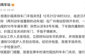 广州南站：一旅客扒阻高铁车门手指夹伤，已送医图片