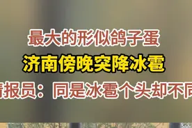 果然视频|小如玉米粒，大如鸽子蛋！济南情报员晒出形状各异冰雹图片