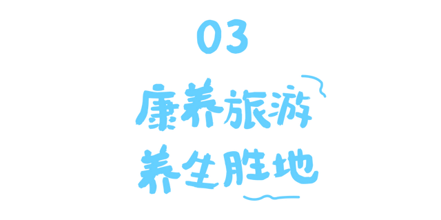 这把,是养生局!