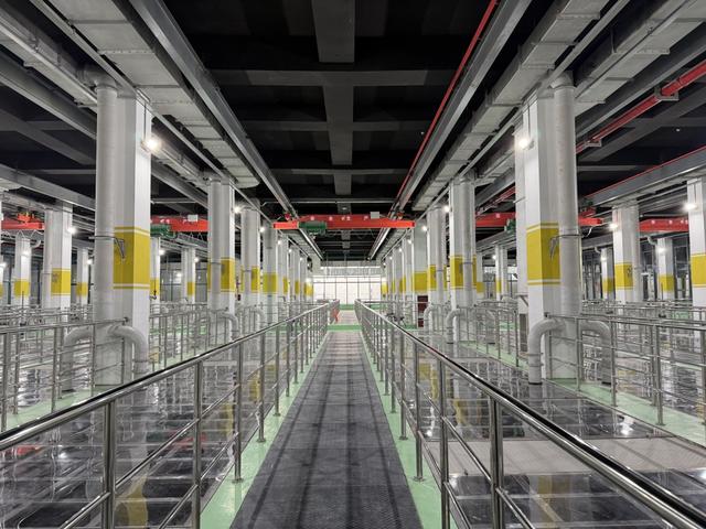 太湖治理传来好消息，且看无锡如何打出“组合拳”