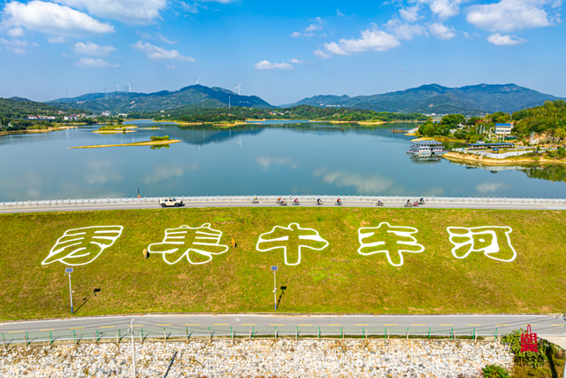 想追风,去团风!