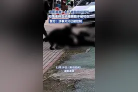 湖南湘潭一女子被狗持续撕咬多处受伤，涉事犬被警方控制，知情人：它还咬死过小狗图片