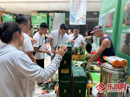 “滨海浪漫”+“消费活力” 丰泽暑期文旅消费季启幕