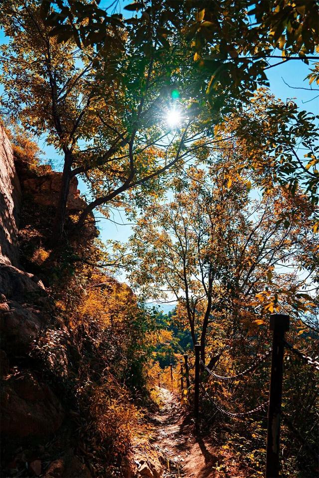 五彩斑斓！北京“漫山红叶”进最佳观赏期!