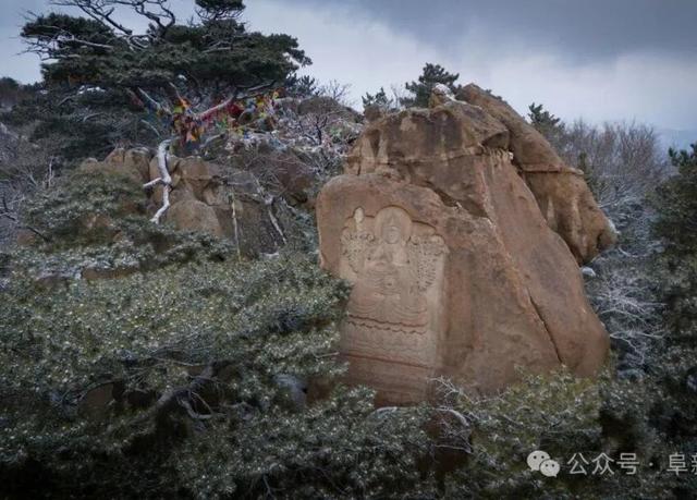 从雪场飙车到温泉躺平 ！阜新5条线路没得挑！