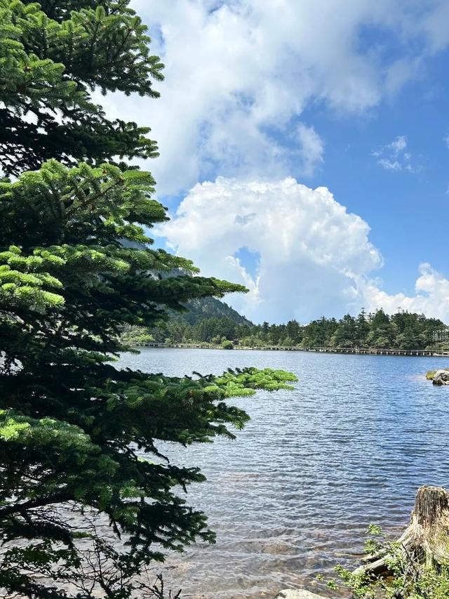 七夕，送TA一场凉山行