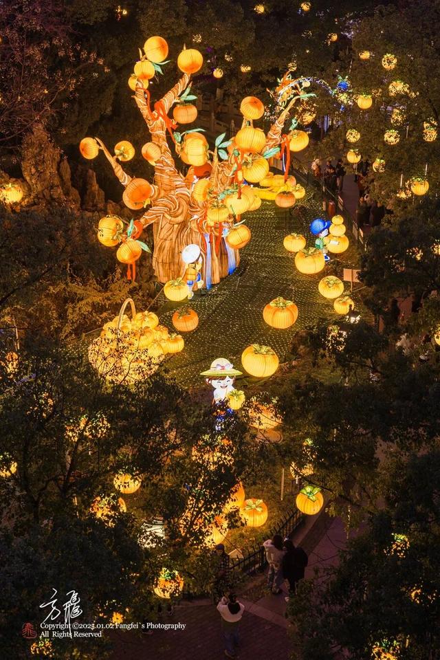 四十届华彩，一盏秦淮灯，点亮南京年味“顶流”！（内含福利~）