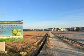 泉州全域土地整治：乡村振兴与城乡融合的双赢实践图片