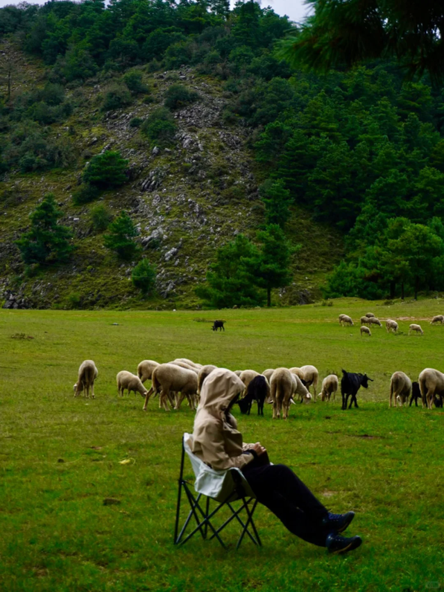 来盘龙大哨森林，我“氧”你啊！