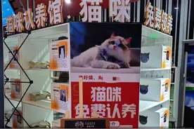 打着免费旗号的宠物领养  背后陷阱重重图片