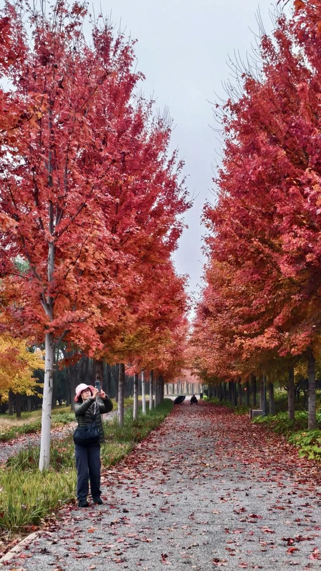 副中心的秋日画板已备好，等你来上色！
