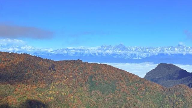 今日实拍‼️瓦屋山秋日彩林美疯啦~