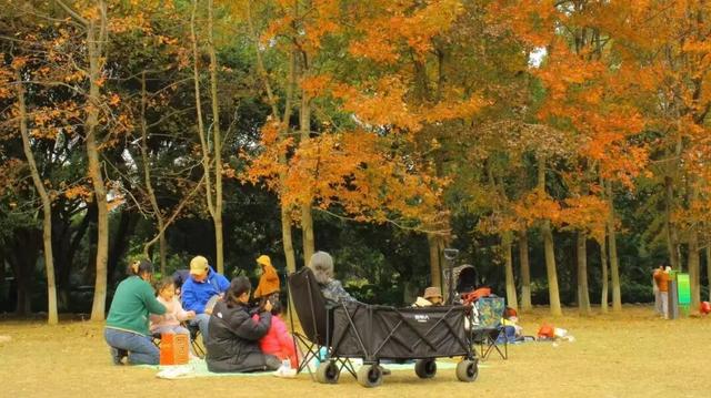 七星景区迎金秋