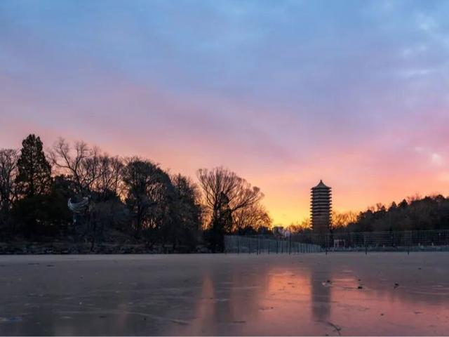 北京号最精彩 | 赶600年大集、赏冰封玫瑰！年前就去这→