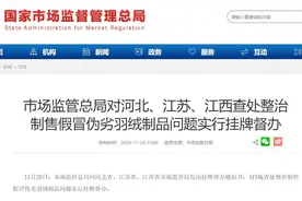 市场监管总局：对河北、江苏、江西3地假羽绒问题挂牌督办图片