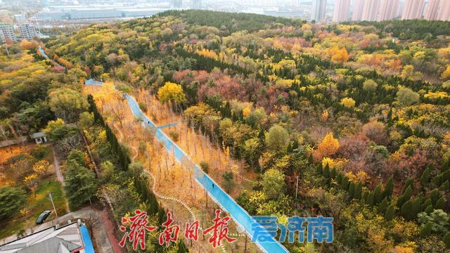 一年四季 泉在济南丨鲍山公园初冬限定美景 层林尽染如铺展天然画卷