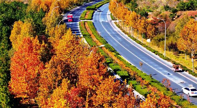 秋韵未央！来威海临港区，邂逅五彩斑斓的美！