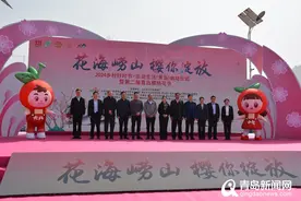 第二届青岛樱桃花节启幕 快来北宅探索春日“小确幸”！图片