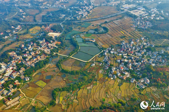 江西南康：乡村冬景宜人