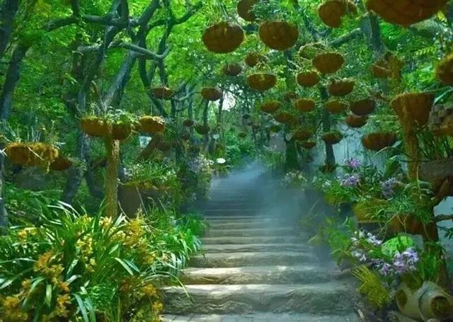 参加事业单位考试人员专属福利！文山这些景区免票、打折→