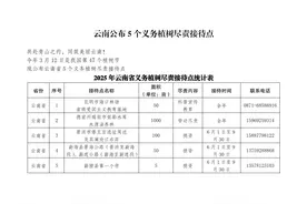 履行义务植树 共建美丽中国——云南省向社会各界发出植树倡议图片