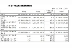五年来首次盈利！赛力斯2024年净赚近60亿元，披露拟赴港上市图片