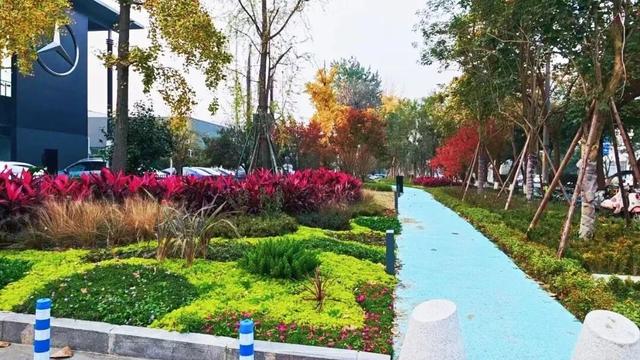 成都的绿道，上万公里了！