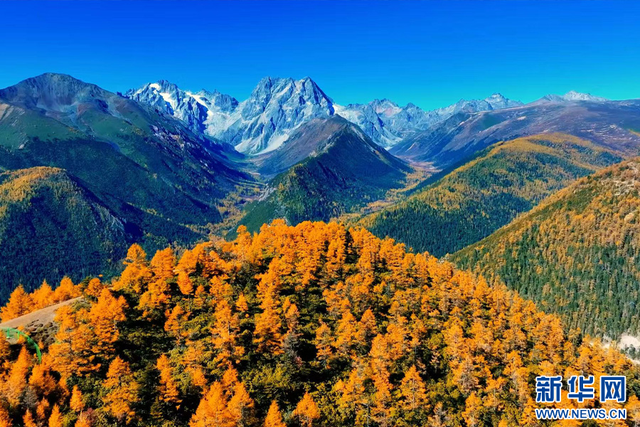 云南德钦：斑斓秋色入画来