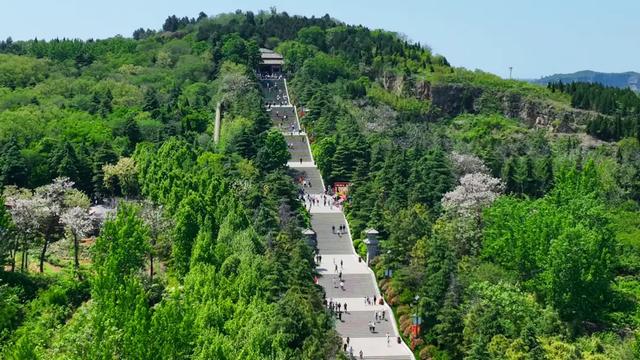 最新!河南2025教师节免门票景区汇总来了→