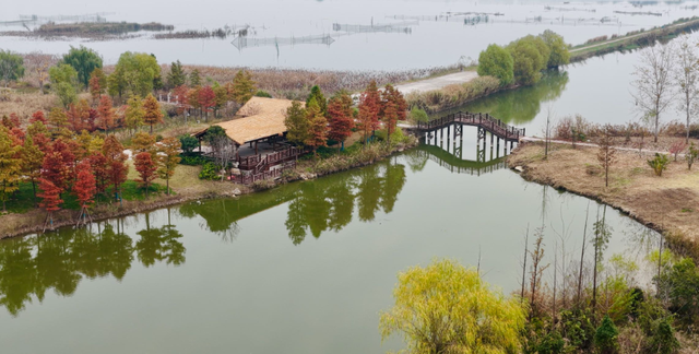 2025网聚美好安徽｜从“煤渣湖”到“网红打卡地”，淮北这片水域如此逆袭