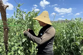 退伍不褪色 返乡创业谱新篇图片