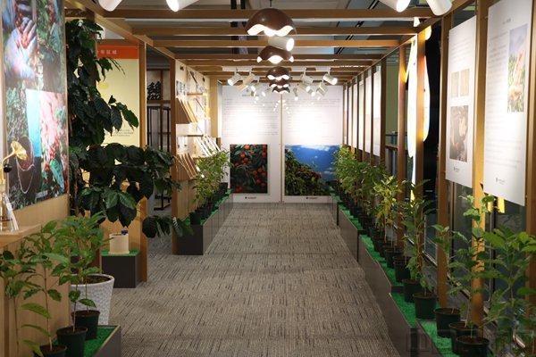 咖啡为媒，让云滇文化借助航空枢纽走向世界