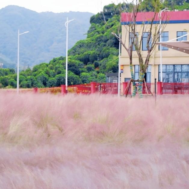 趁秋色浪漫，见一面吧