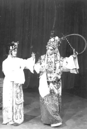 浙江籍演员何晴因病离世	，她曾留下了诸多经典角色