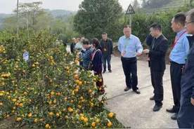 推广病虫害绿色防控少打农药 湘产果菜茶更绿更放心图片